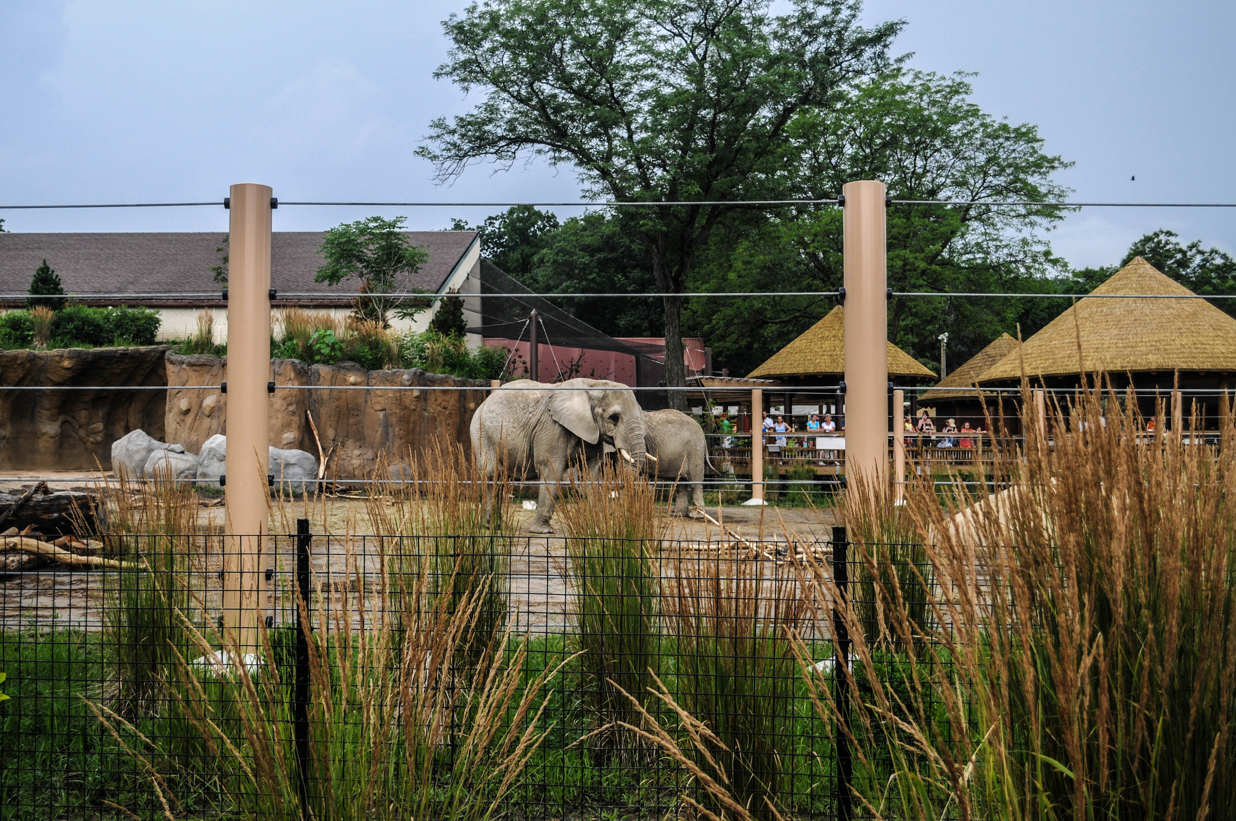 Elephant Habitat Test